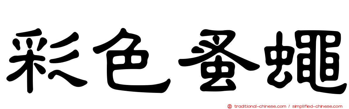 彩色蚤蠅