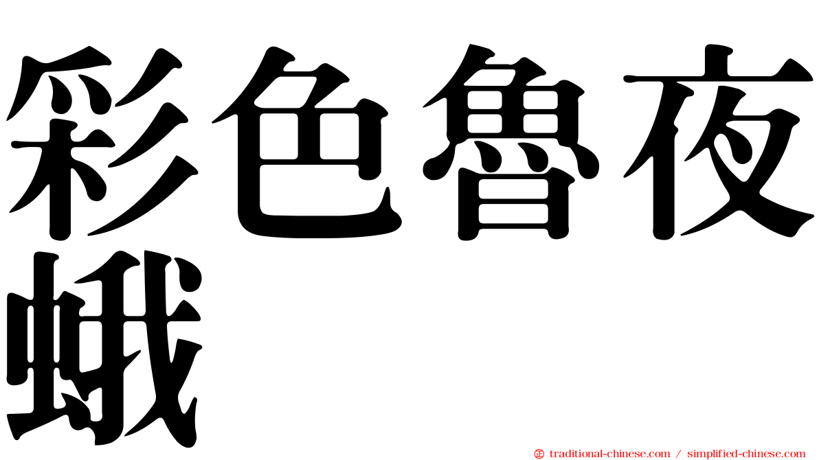彩色魯夜蛾