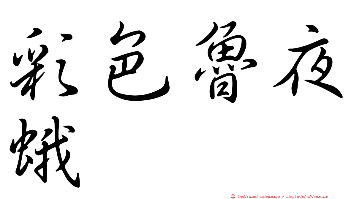 彩色魯夜蛾