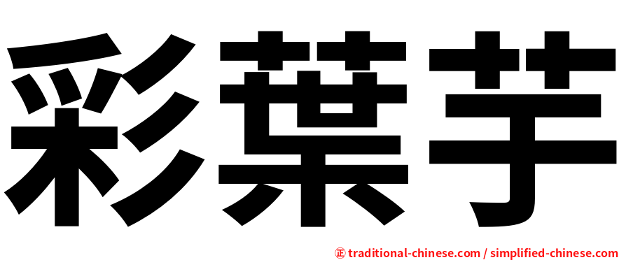彩葉芋