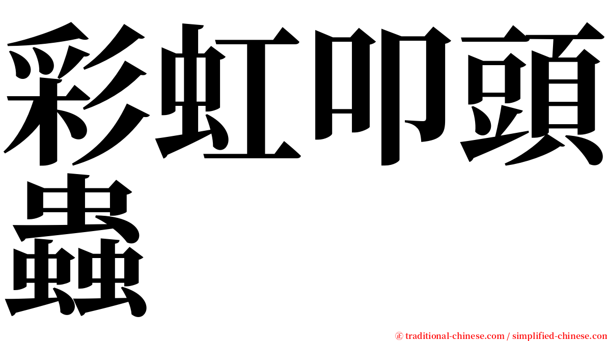 彩虹叩頭蟲 serif font