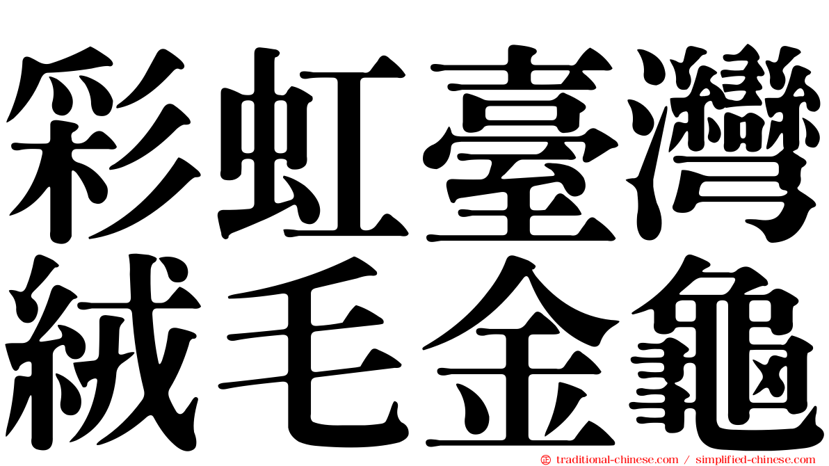 彩虹臺灣絨毛金龜