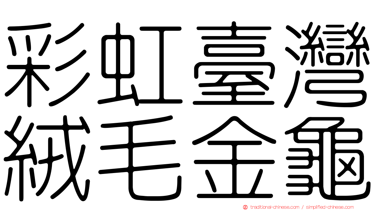彩虹臺灣絨毛金龜