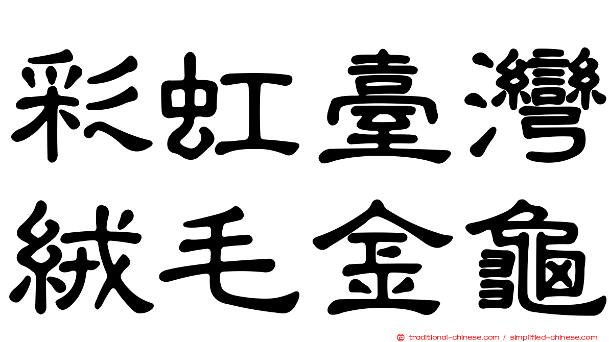彩虹臺灣絨毛金龜