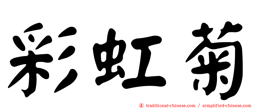彩虹菊