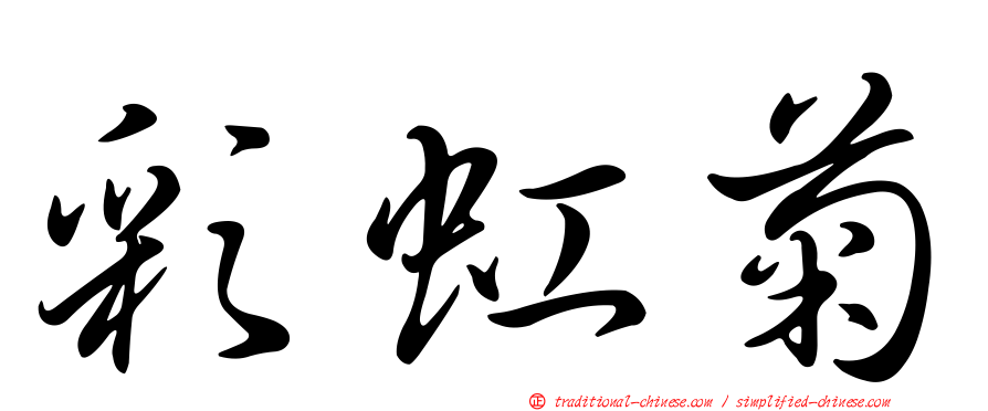 彩虹菊