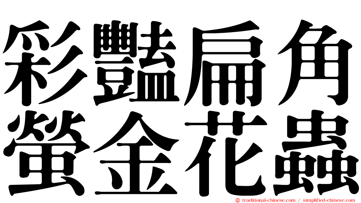 彩豔扁角螢金花蟲
