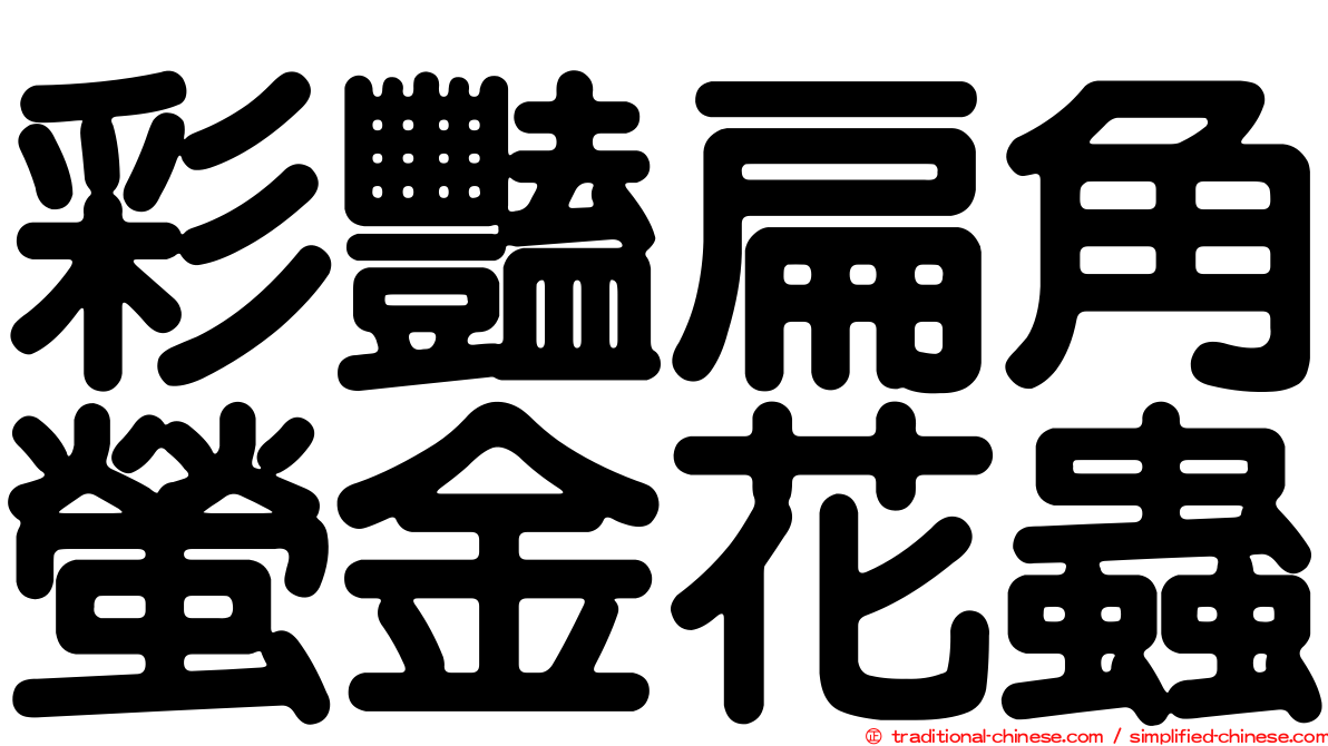 彩豔扁角螢金花蟲