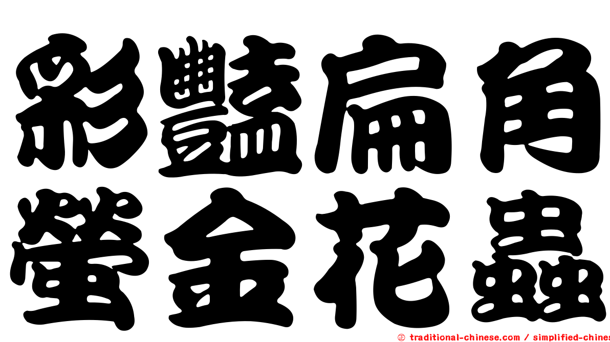 彩豔扁角螢金花蟲