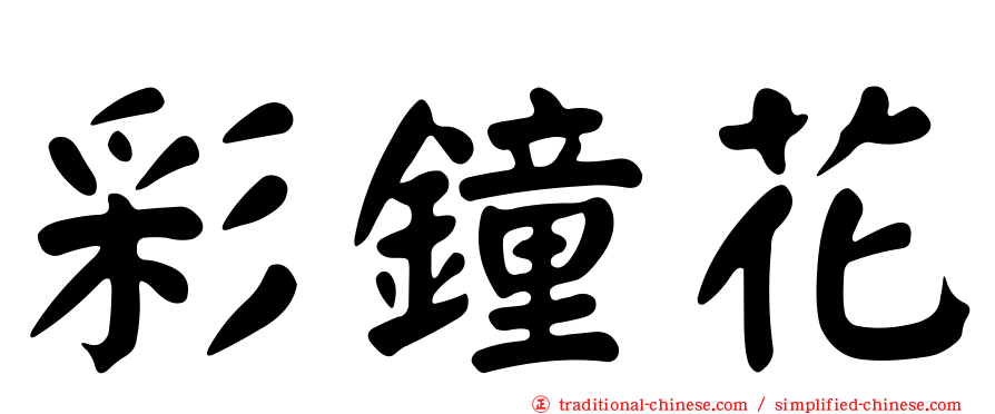 彩鐘花