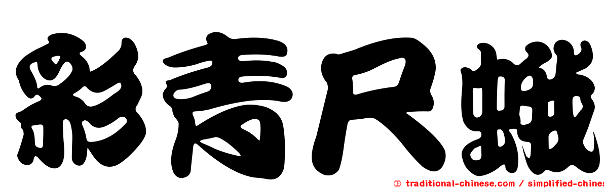 彩青尺蛾