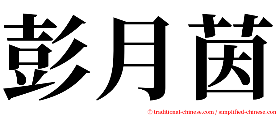 彭月茵 serif font