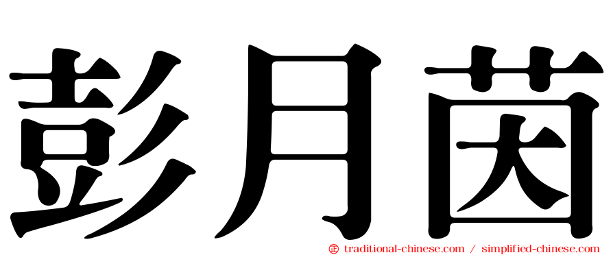 彭月茵