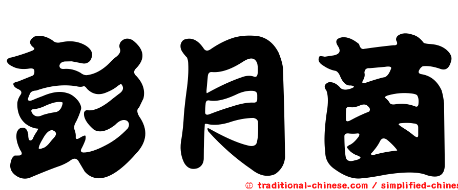 彭月茵