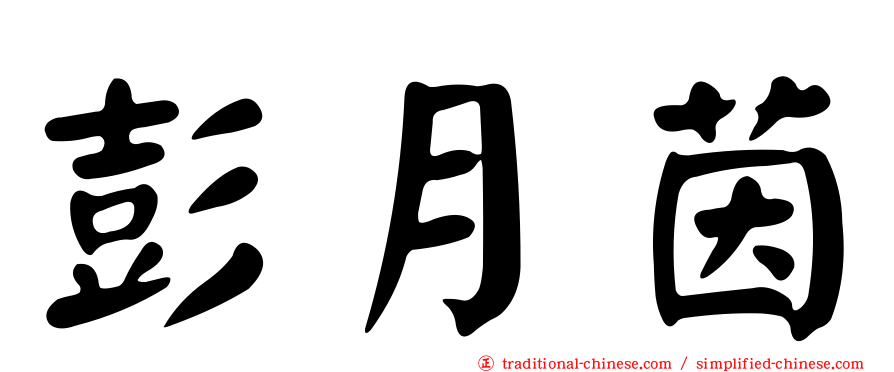 彭月茵