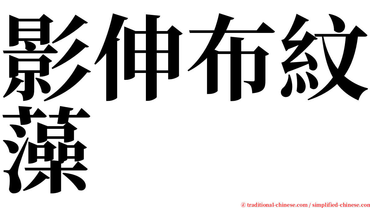 影伸布紋藻 serif font