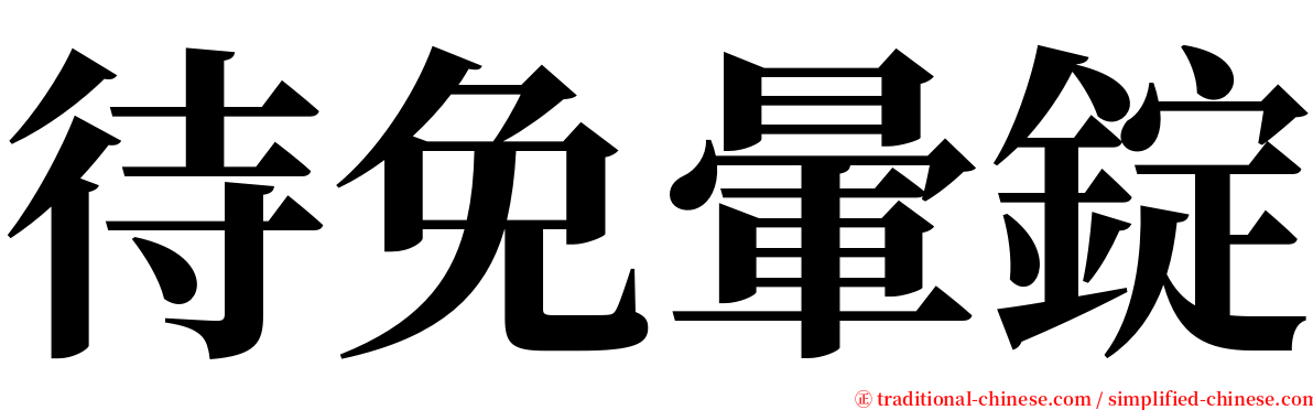 待免暈錠 serif font