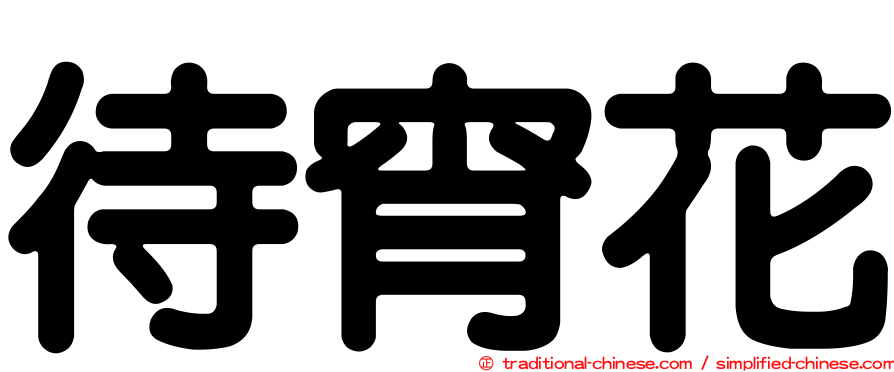 待宵花