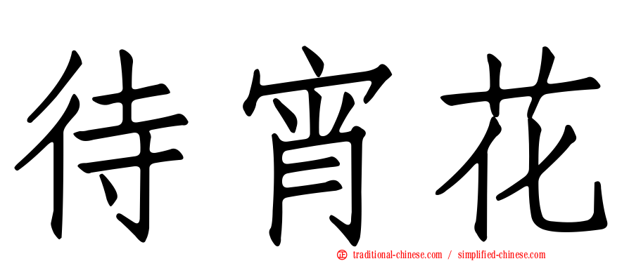 待宵花