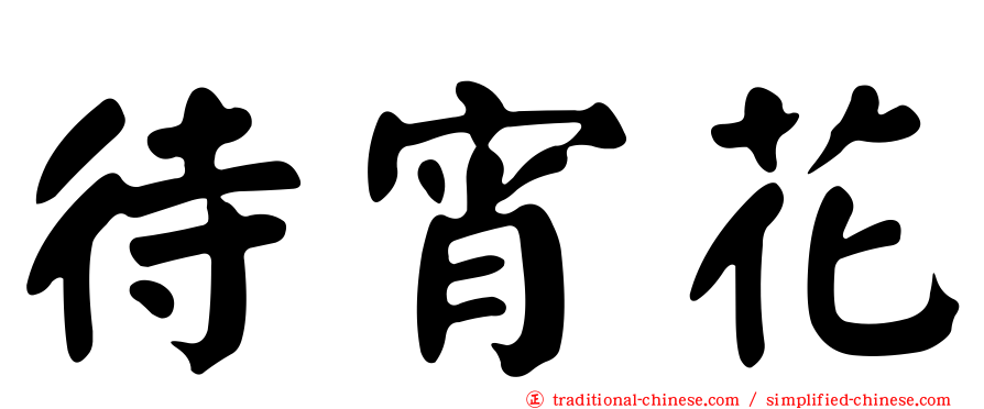 待宵花