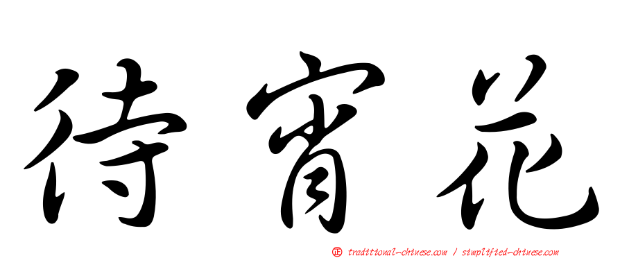 待宵花