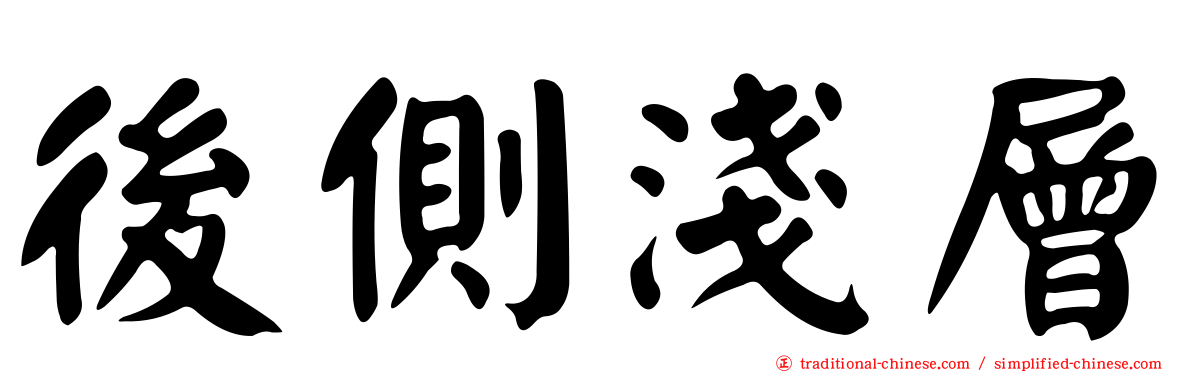 後側淺層