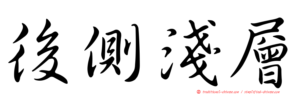 後側淺層