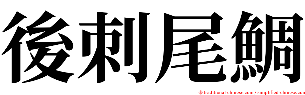 後刺尾鯛 serif font