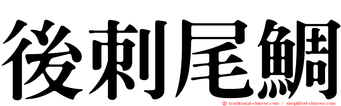 後刺尾鯛