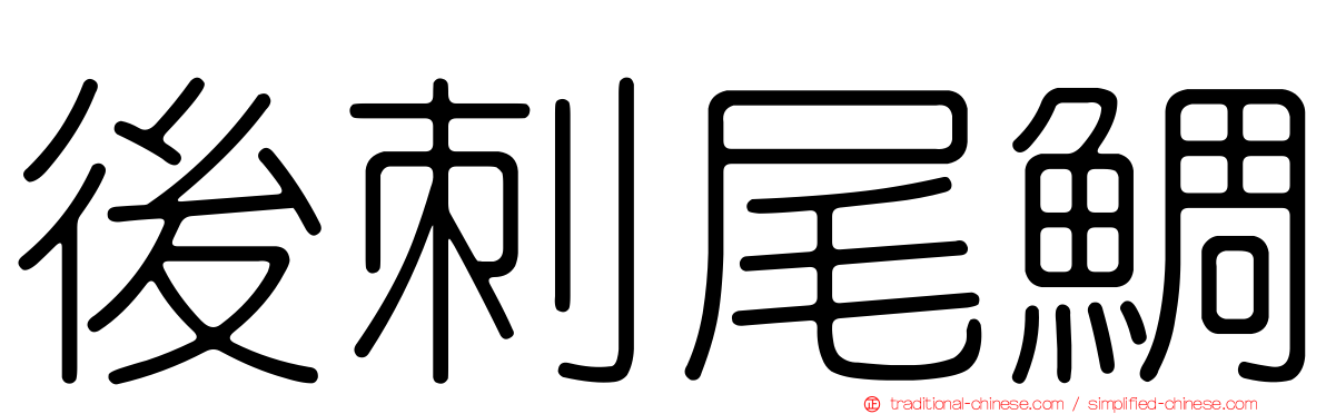 後刺尾鯛
