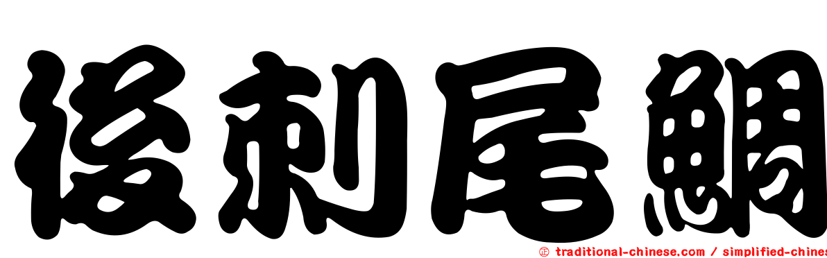 後刺尾鯛