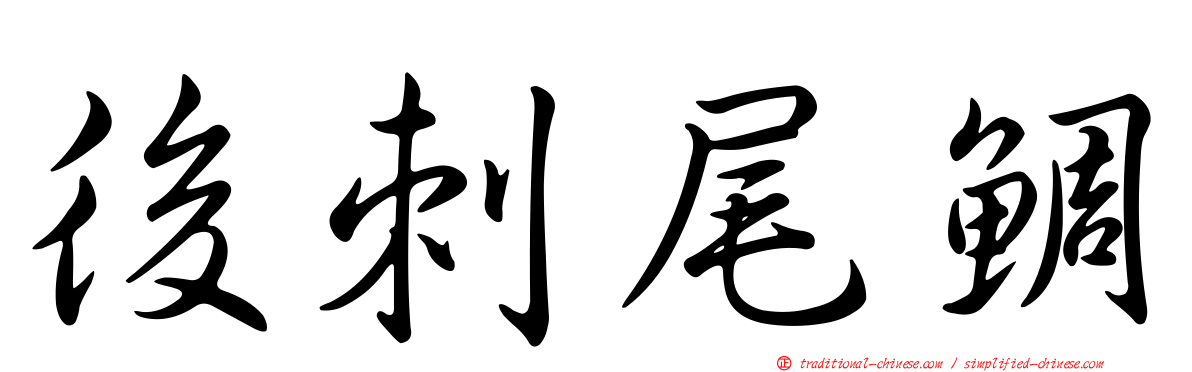 後刺尾鯛