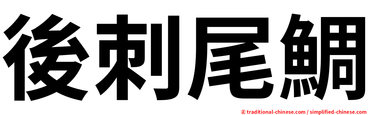 後刺尾鯛