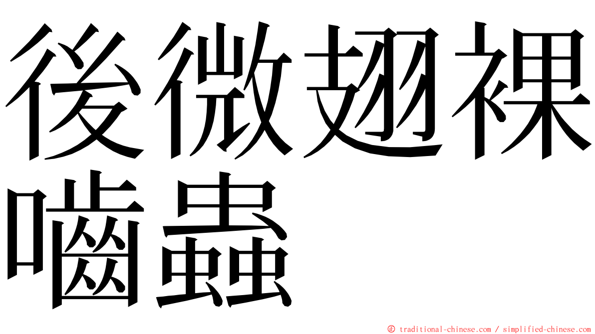 後微翅裸嚙蟲 ming font