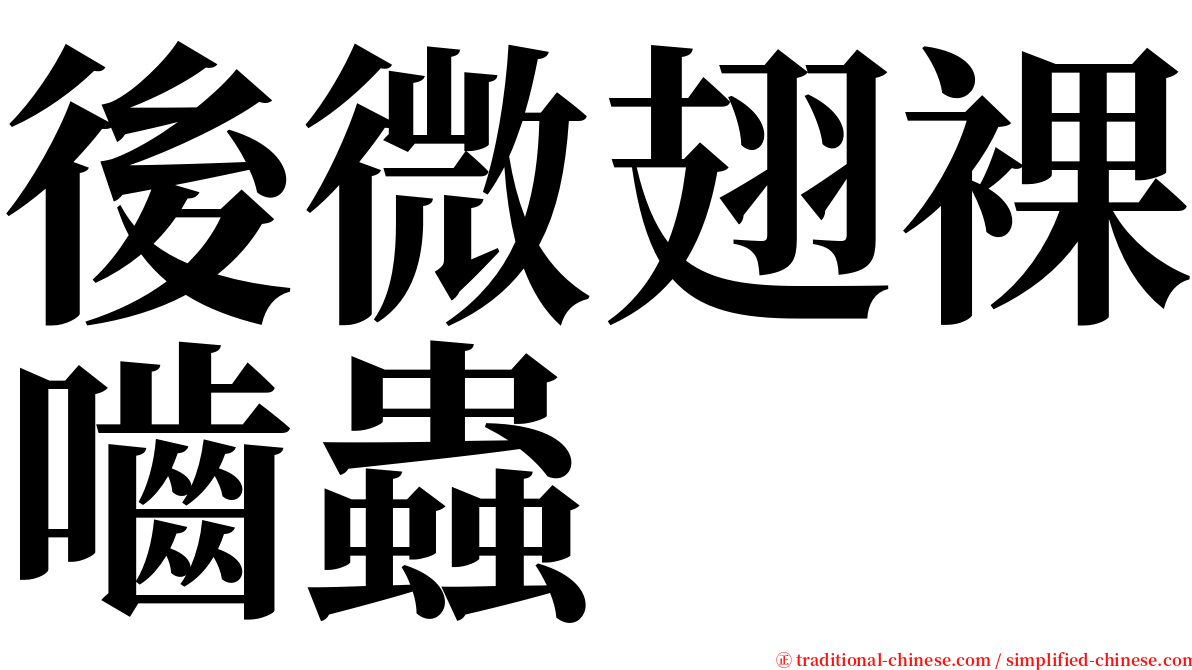 後微翅裸嚙蟲 serif font