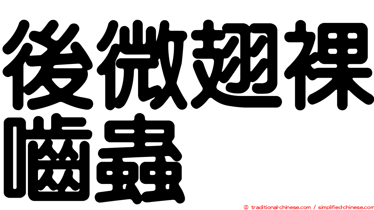 後微翅裸嚙蟲