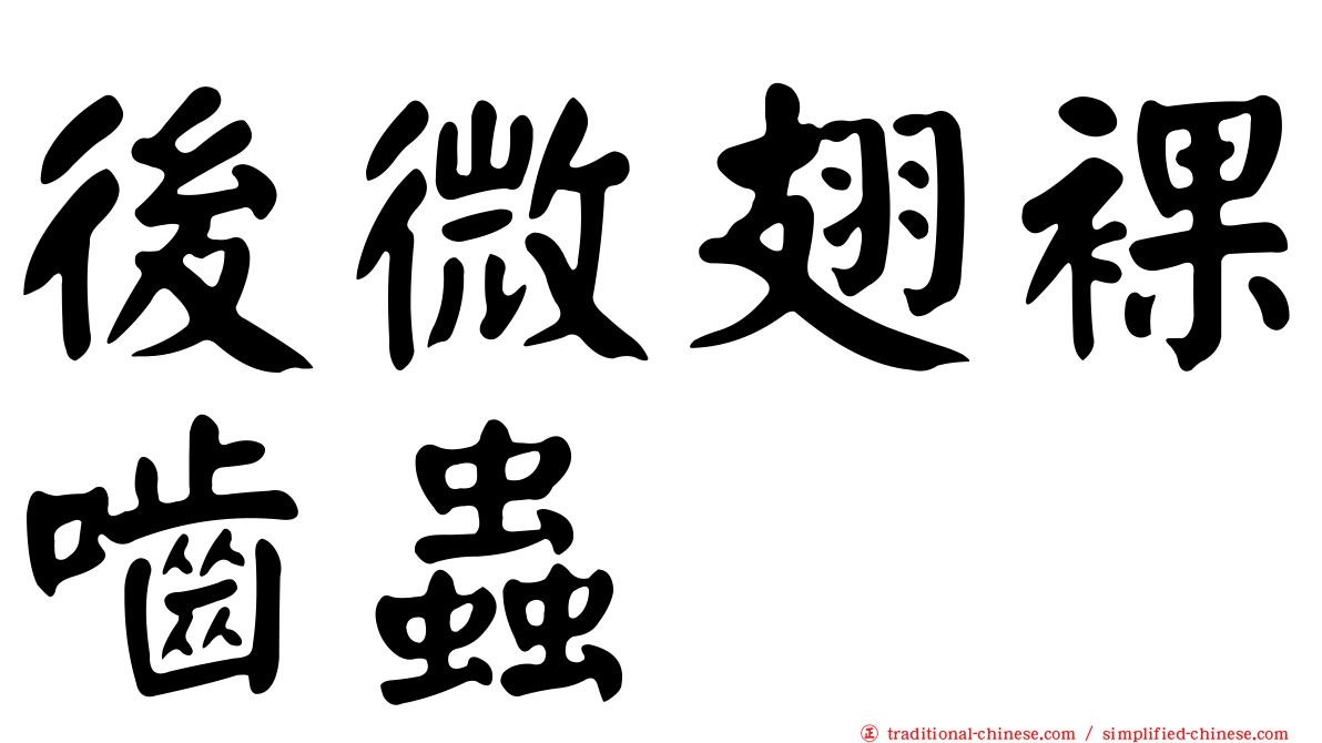 後微翅裸嚙蟲