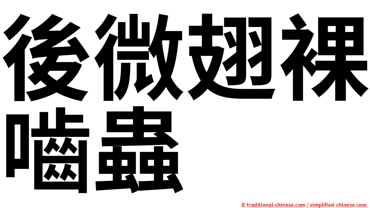 後微翅裸嚙蟲