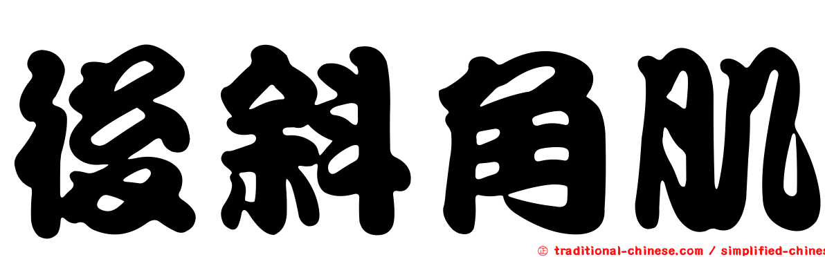 後斜角肌