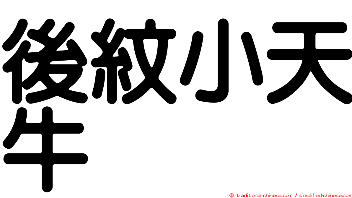 後紋小天牛