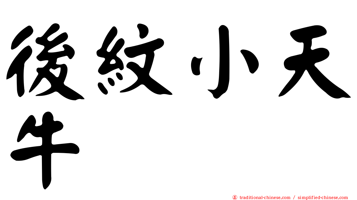 後紋小天牛