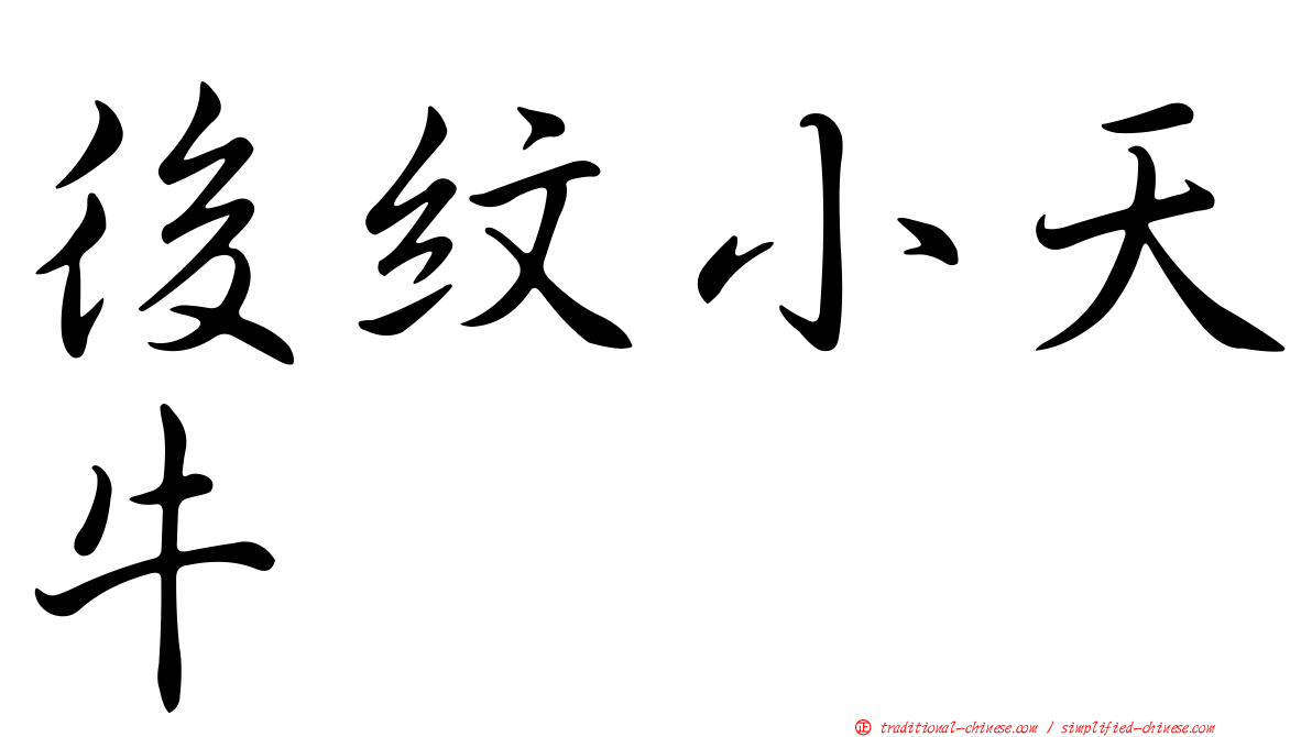 後紋小天牛