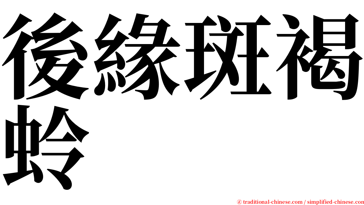 後緣斑褐蛉 serif font
