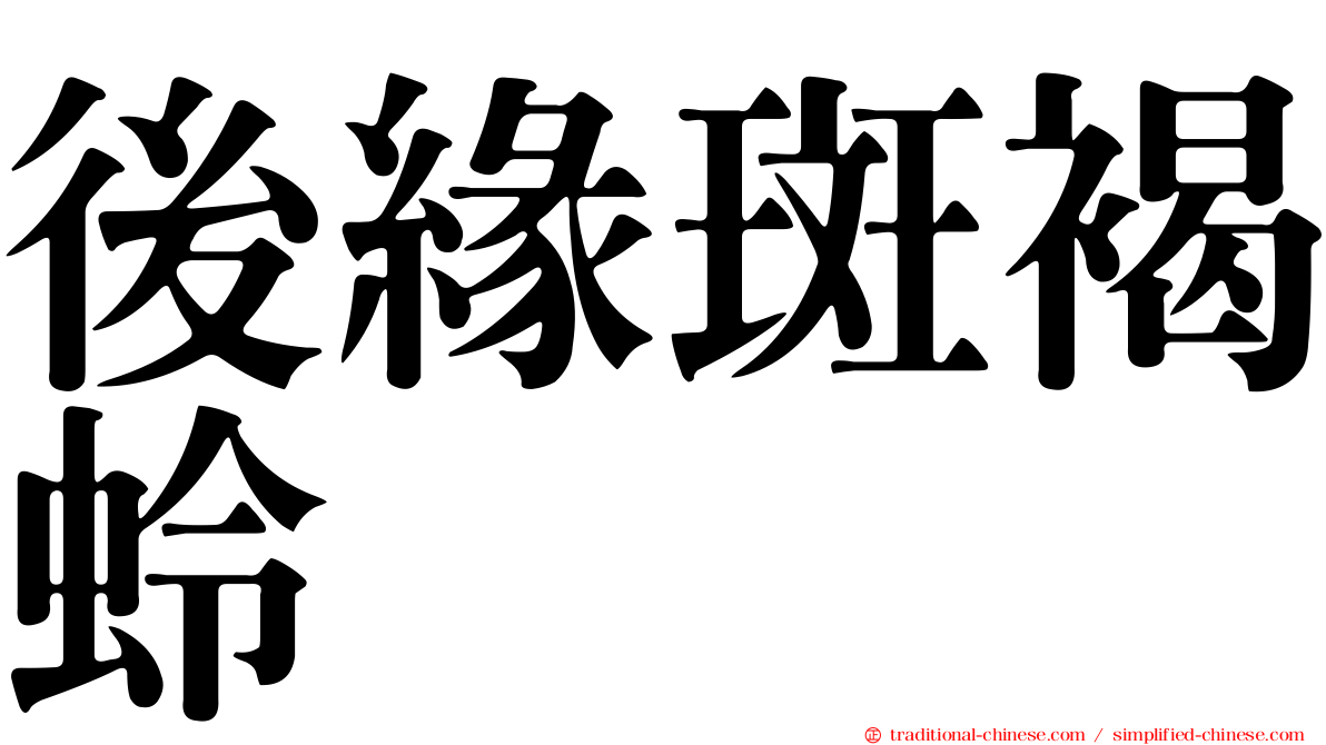 後緣斑褐蛉