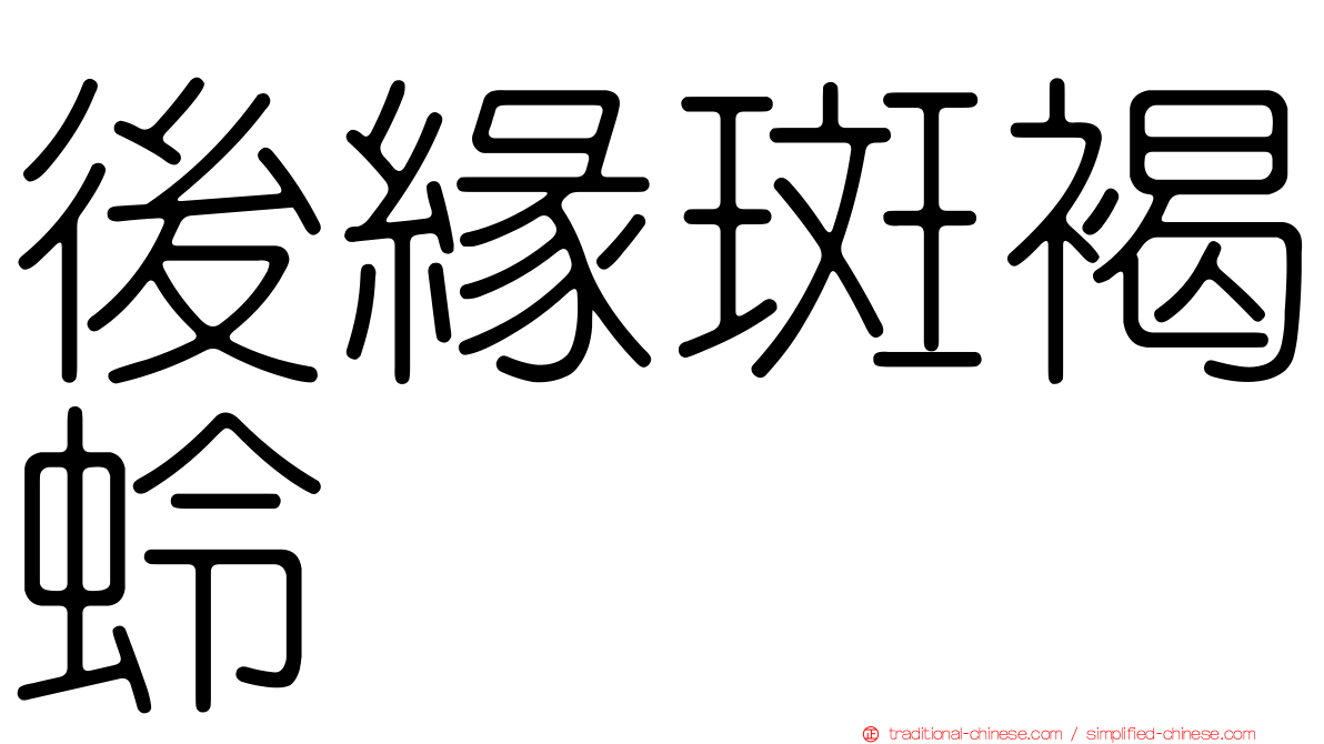 後緣斑褐蛉
