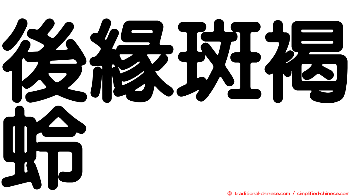 後緣斑褐蛉