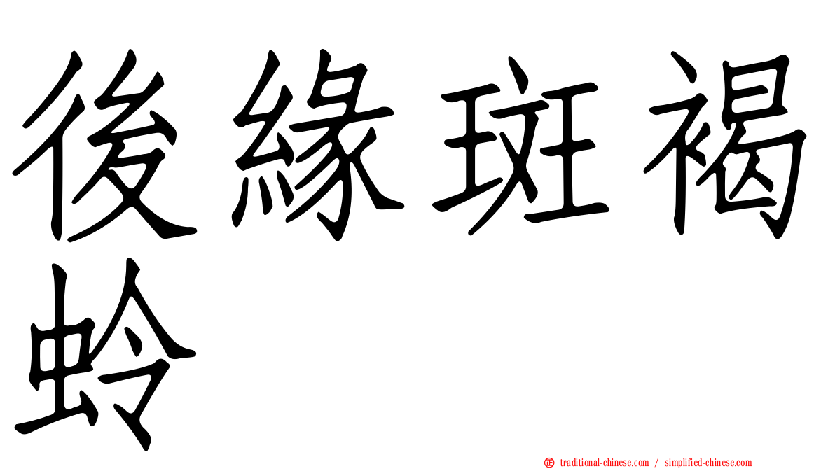後緣斑褐蛉