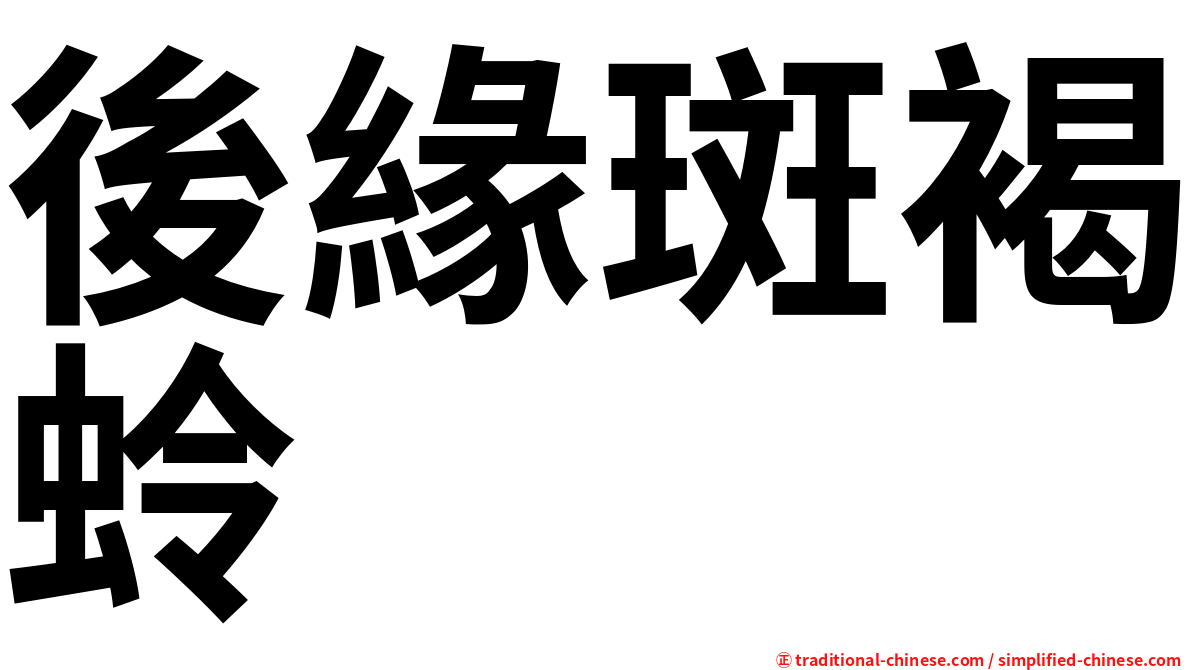 後緣斑褐蛉