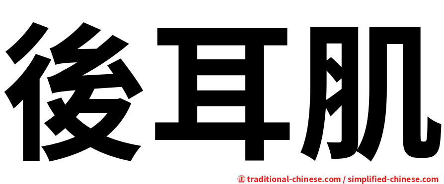 後耳肌