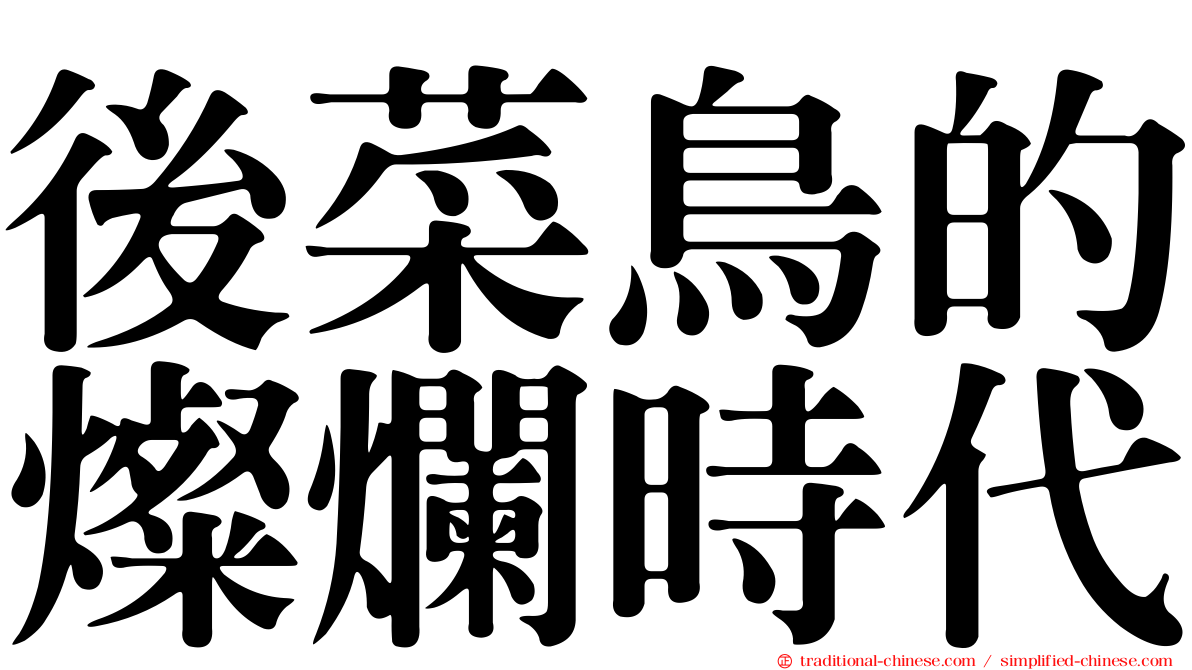 後菜鳥的燦爛時代